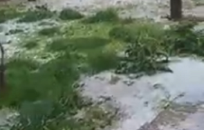 градушка удари силистренско