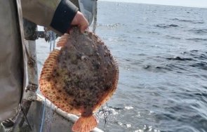 април влиза сила сезонната забрана улов риба