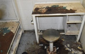 шок дървеници убиха затворник изядоха жив снимки