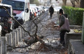 бурният вятър причини щети столицата