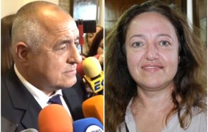 приседне депутатка бих преглътнала правителство герб