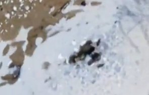 вик частна фирма спорят авария водата тече