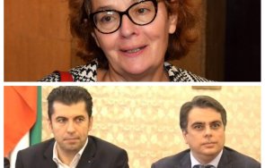 проф румяна коларова големият проблем промяната нямат друг вариант коалиция