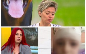 нападнати питбули искат контрол бойните породи кучета