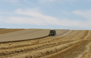 мъж издъхна нивата