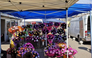 борсата цветя софия измести район подуяне