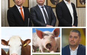 страшна излагация герб ново разкритие бездарниците промяната хал хабер нямат земеделие