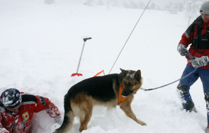 необходими хил лева спасителните кучета планинската служба