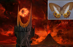 кръстиха нов вид пеперуди злодей властелинът пръстените