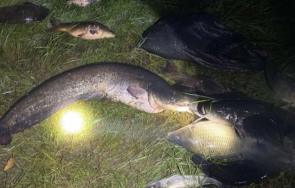 хванаха бракониер 100 риба присъди висящи разследвания