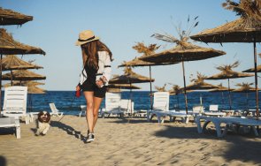 забраниха домашни любимци плажа варна