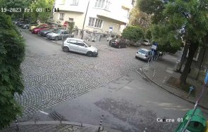 шофьор прегази куче центъра софия