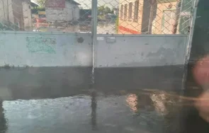 шокиращо видео 300 животни загинаха наводнения зоопарк нова каховка