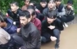 последните минути заловиха бежанци гората мало бучино