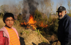 незаконно гето гората младост