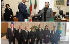 самоопределиха костадин разкри възраждане проалжирска партия