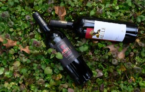 нов успех българското вино вила ямбол донесе медали българия decanter снимки