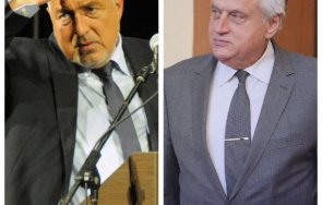 ефектът уйдурмата мрежата бясна рашков борисов заради делото трупчета