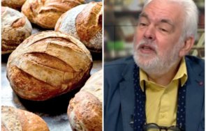 лоша прогноза икономист поля студена вода ядем евтина храна лятото новата реколта зърно скъпа