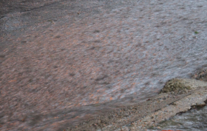 пороен дъжд наводни две монтански села