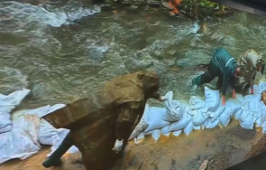 исул разкри бърз коридор пострадалите наводненията берковица монтана