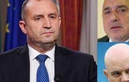 мрежата кипи фатмакът окончателно отстреля гешев безмозъчните тръстове срамната коалиция обяснят взаимно пазят имунитетите