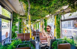 опит белгия пуснаха трамвай градина снимки