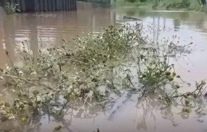 злочестина река подкопа улица село подгумер