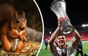 куриоз защитникът уест хем закъса заради катерици