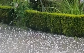 градушка лешник помля посевите сливенско