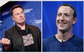 зукърбърг мъск влизат мма двубой клетка