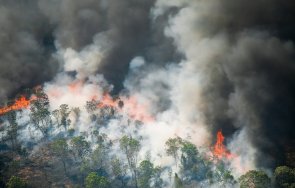 горски пожар лумна района измир видео