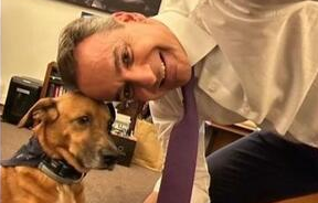 кириакос мицотакис завърна двореца максимос заедно своя любимец