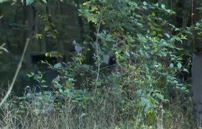 нечовешки условия бездомни семейства живеят ловния парк софия