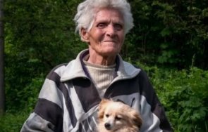 пети ден издирват възрастна жена изчезнала еленския балкан