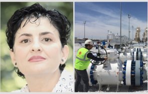 калина андролова разкрития заробващ договор подарява газовия пазар боташ