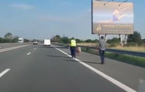 полиция ескортира прасе магистрала тракия видео