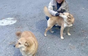 убиха кучето мая манолова неутешима