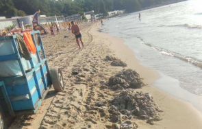 тонове използвани мокри кърпички изхвърли морето южния плаж варна