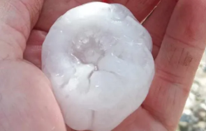 злочестина градушка орех удари рудозем снимка