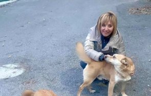 убиха кучето мая манолова