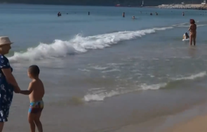 мокрите кърпички туристи алармират умрели плъхове плаж варна