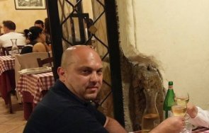 издирва плешивата зара