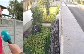 жестокост пътя шофьор прегази куче криводол избяга