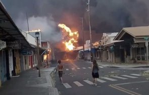 неописуема трагедия жертвите хавайския остров мауи 1000 души неизвестност