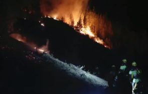 стихия голям пожар вилнее остров тенерифе