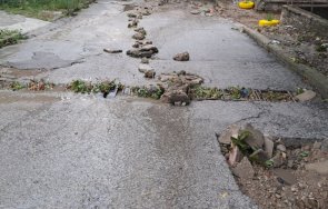 горна оряховица обяви частично бедствено положение