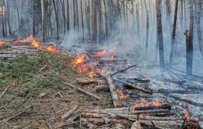 близо 200 горски служители участват гасене пожари страната