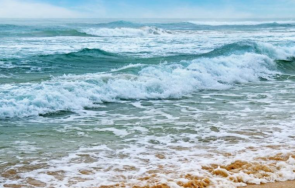 микробиолог пробите водата попския плаж показаха еширихия коли