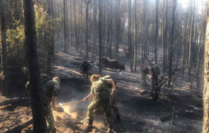 военнослужещи стрямска бригада гасят пожара хисаря